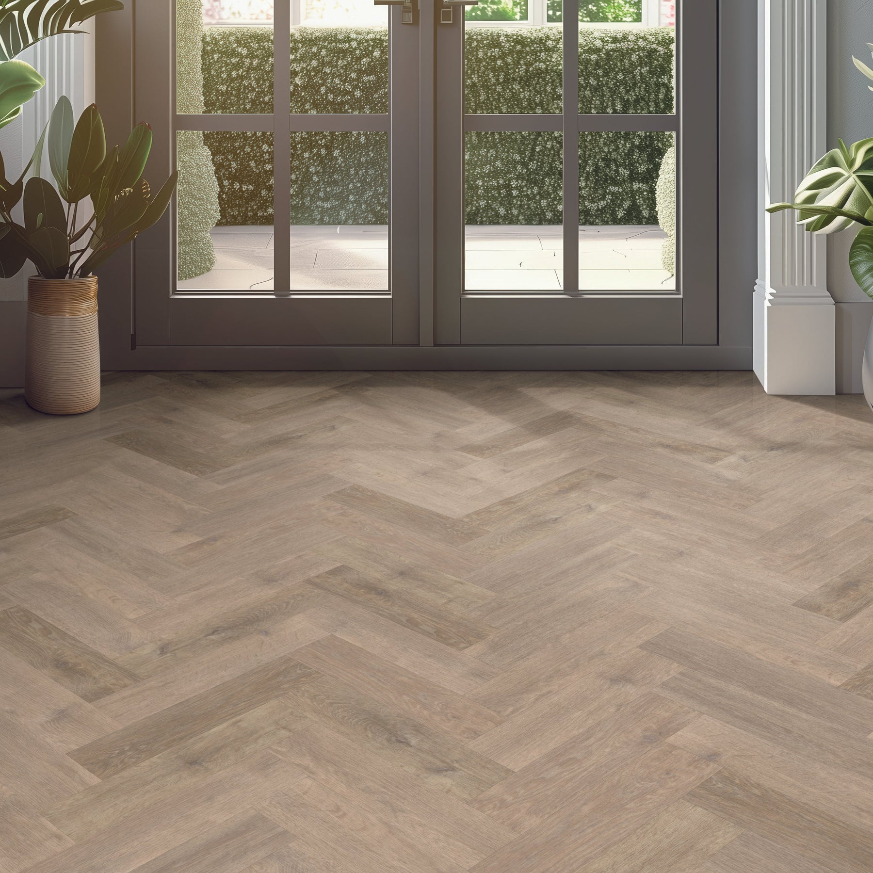 CLP17 European Oak